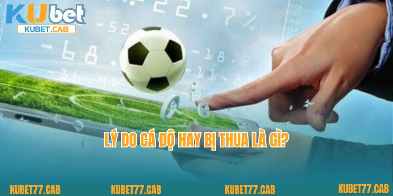 Lý do cá độ hay bị thua là gì?