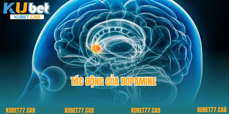 Tác động của Dopamine 