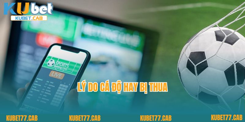 Cá Độ Hay Bị Thua Là Gì